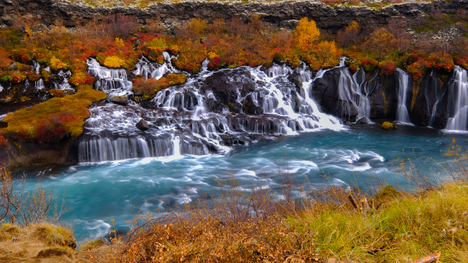 Fall Jylland Falling for Reykjavik: Discover the Fall Season.